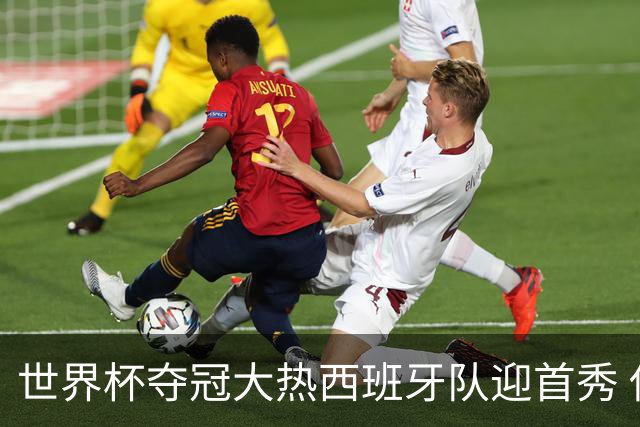 世界杯夺冠大热西班牙队迎首秀 伊朗队入境美国参赛