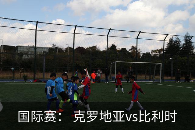 国际赛： 克罗地亚vs比利时