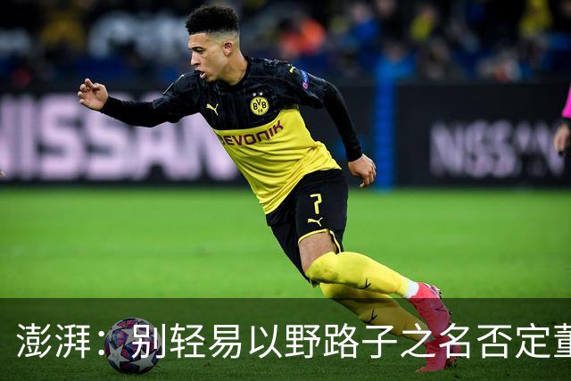 澎湃：别轻易以野路子之名否定董路，中国足球小将增添可能性
